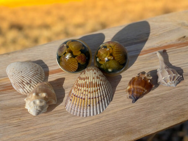 Ocean Breeze-Inspired Transparent Sphere Soap with Soap Seashells & Pearl – Handmade Beach Gift